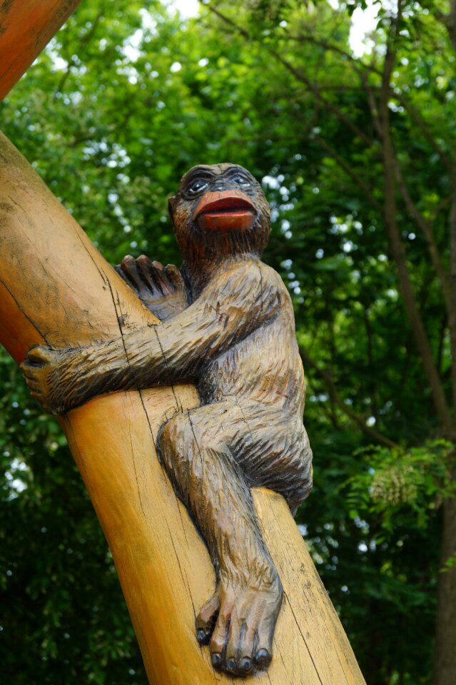 Jungle zoo nature
