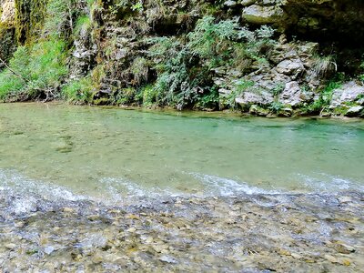 River water nature photo