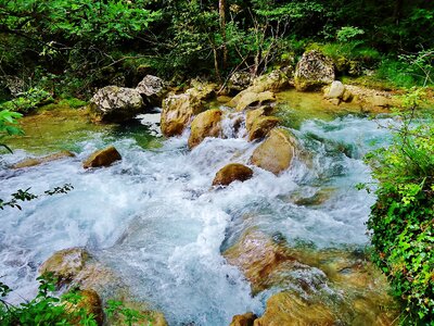 River water nature photo