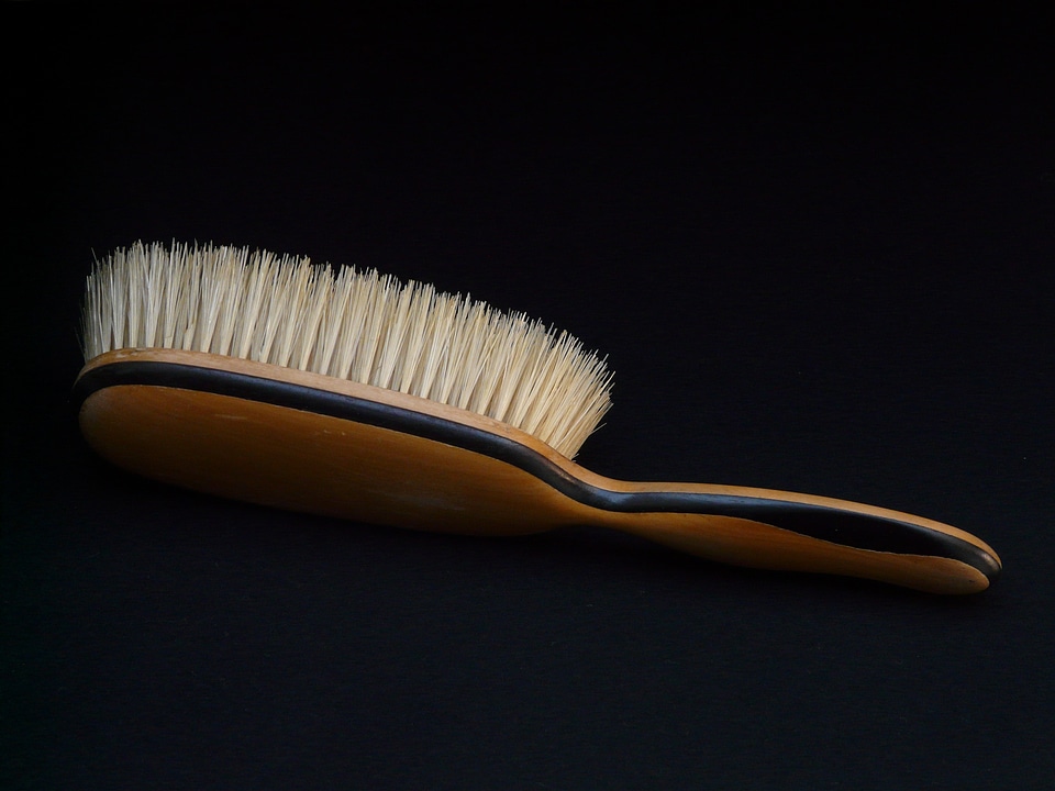 Brush dresses clean