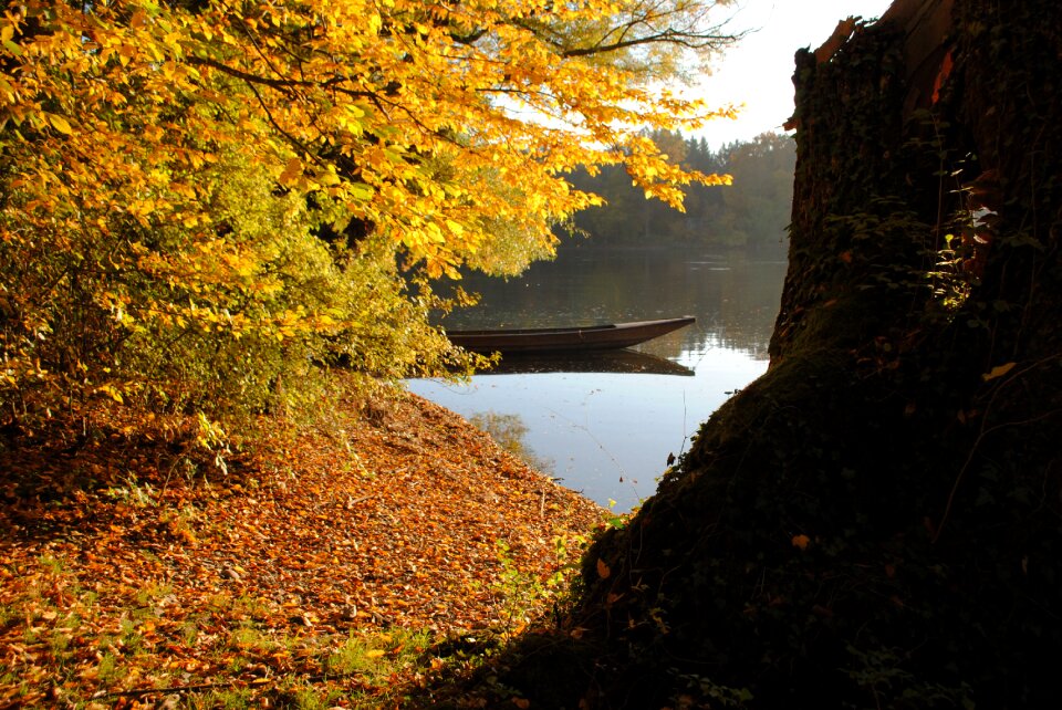 Golden autumn waidling rhine