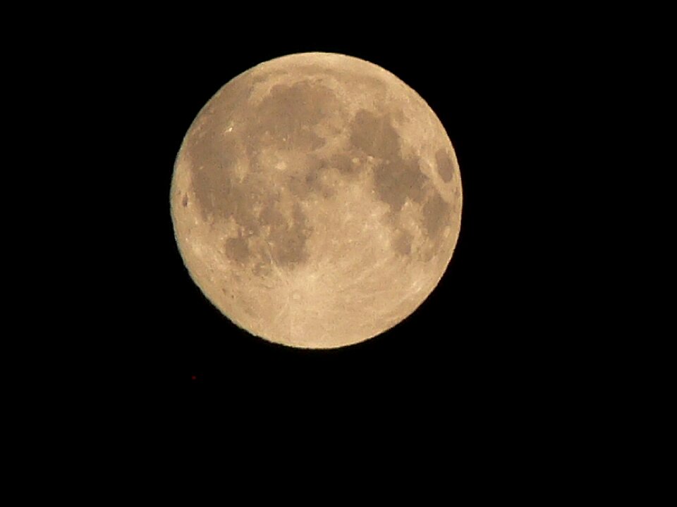 Moon night full moon