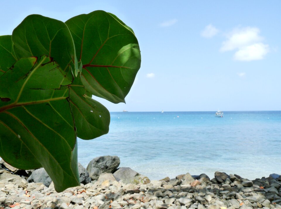 Island vacation paradise