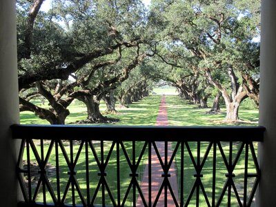Path balcony plantation