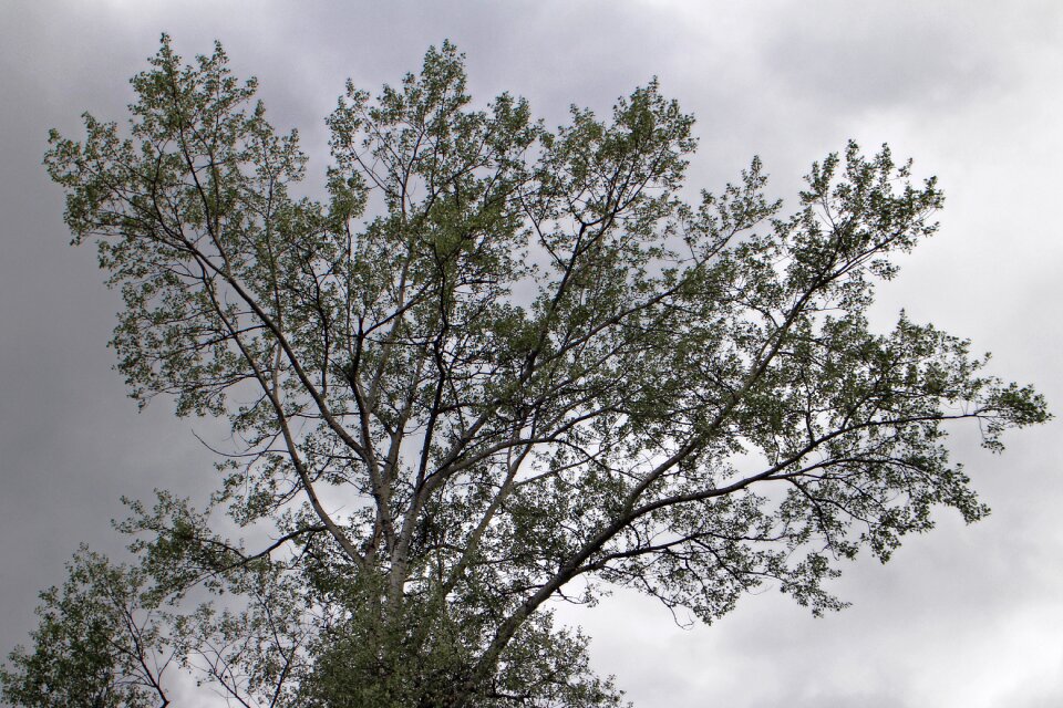 Contrast sky dark