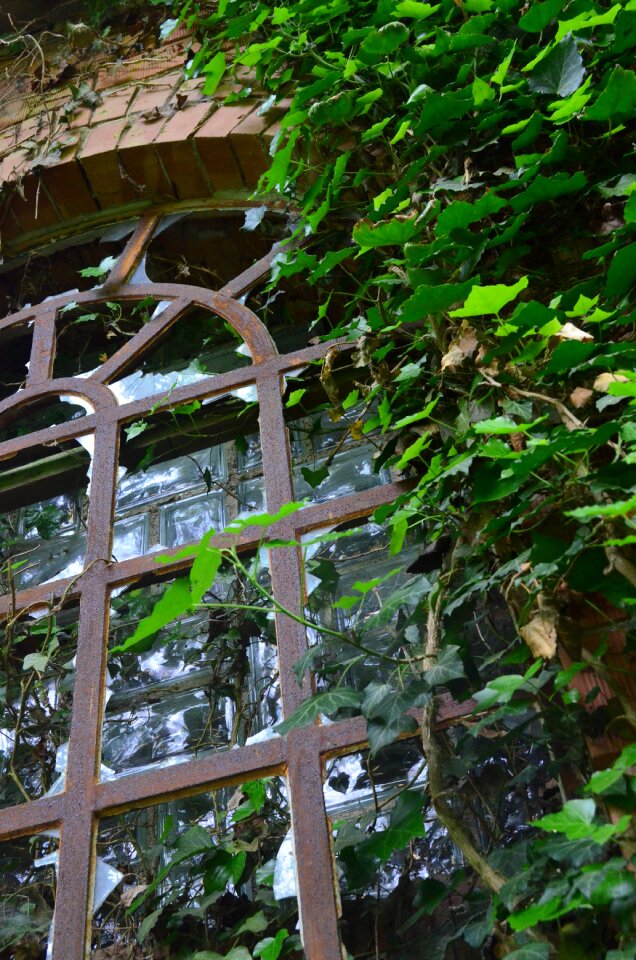 Ruin haunting verwuchert