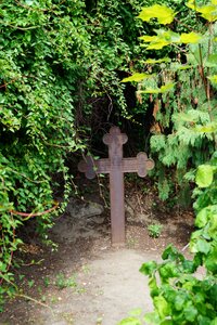 Cemetery graves crosses photo