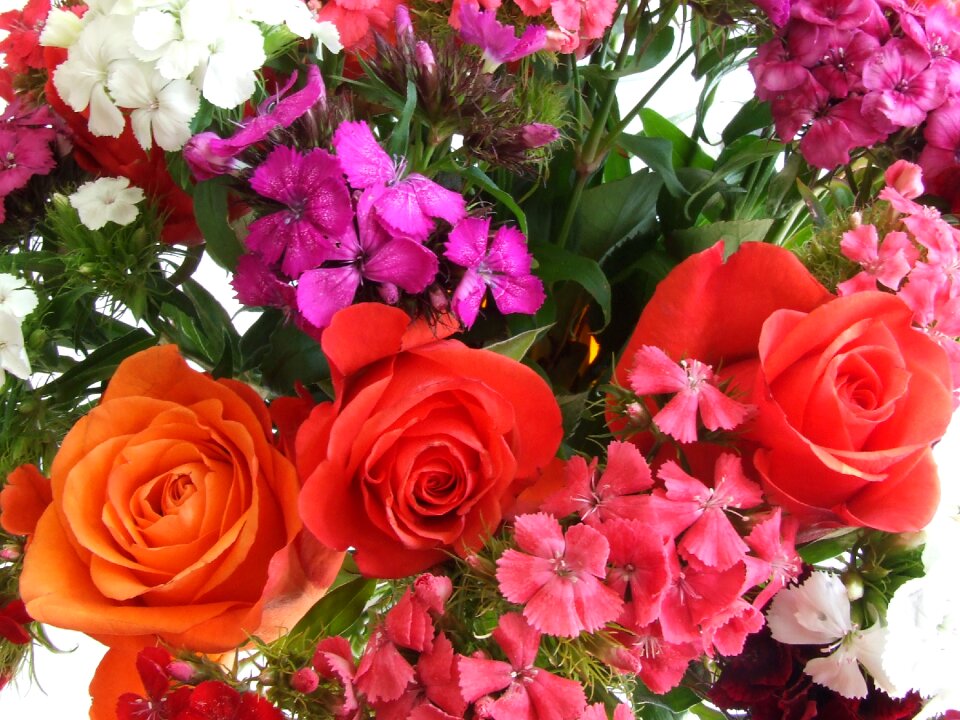 Flowers orange roses bouquet