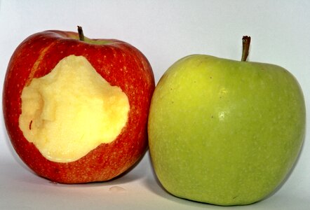 Fresh healthy delicious