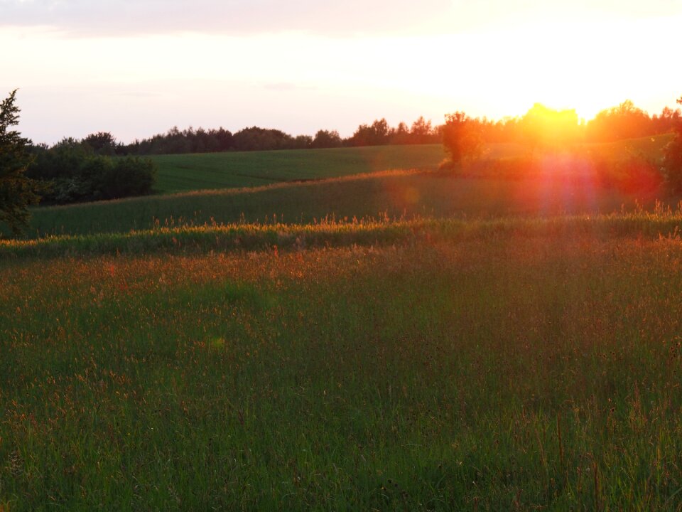 Evening mood scenery