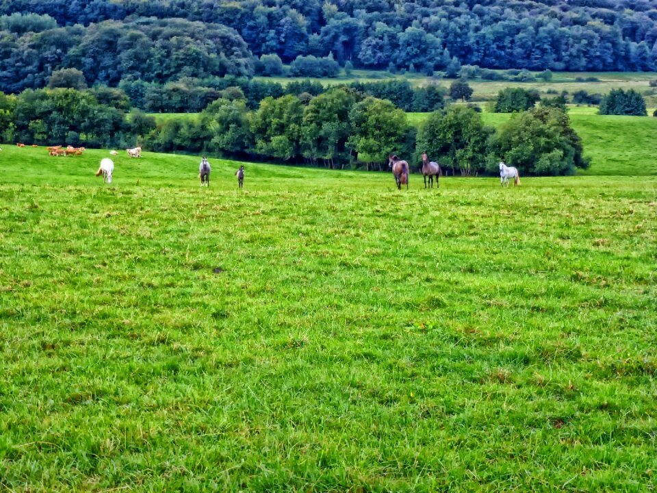 Scenic hdr nature