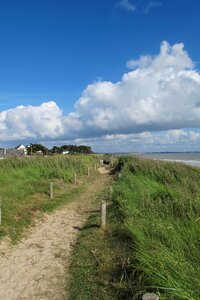 Dunes atlantic coast grass seaside