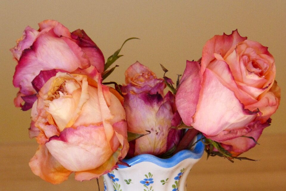Flower vase flowered withered