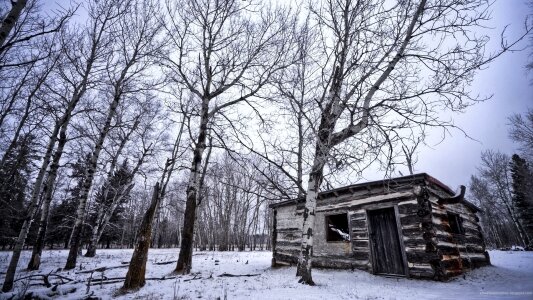 Winter hut loneliness photo