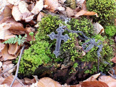 Root leaves log