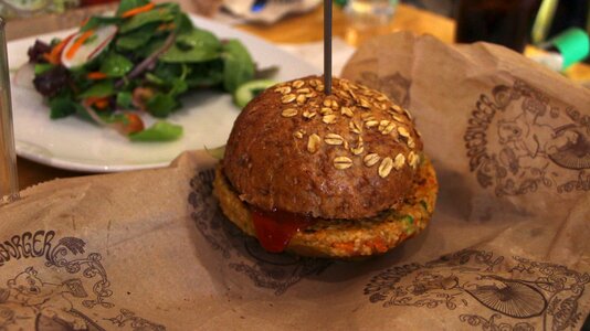 Salad brown burger photo