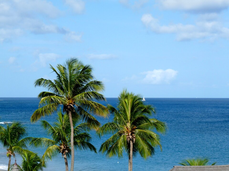 Ocean summer travel