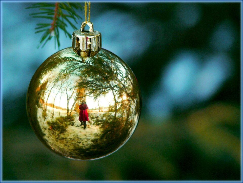 Christmas glaskugeln pine needles