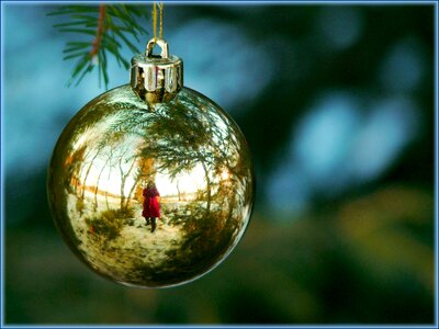 Christmas glaskugeln pine needles photo