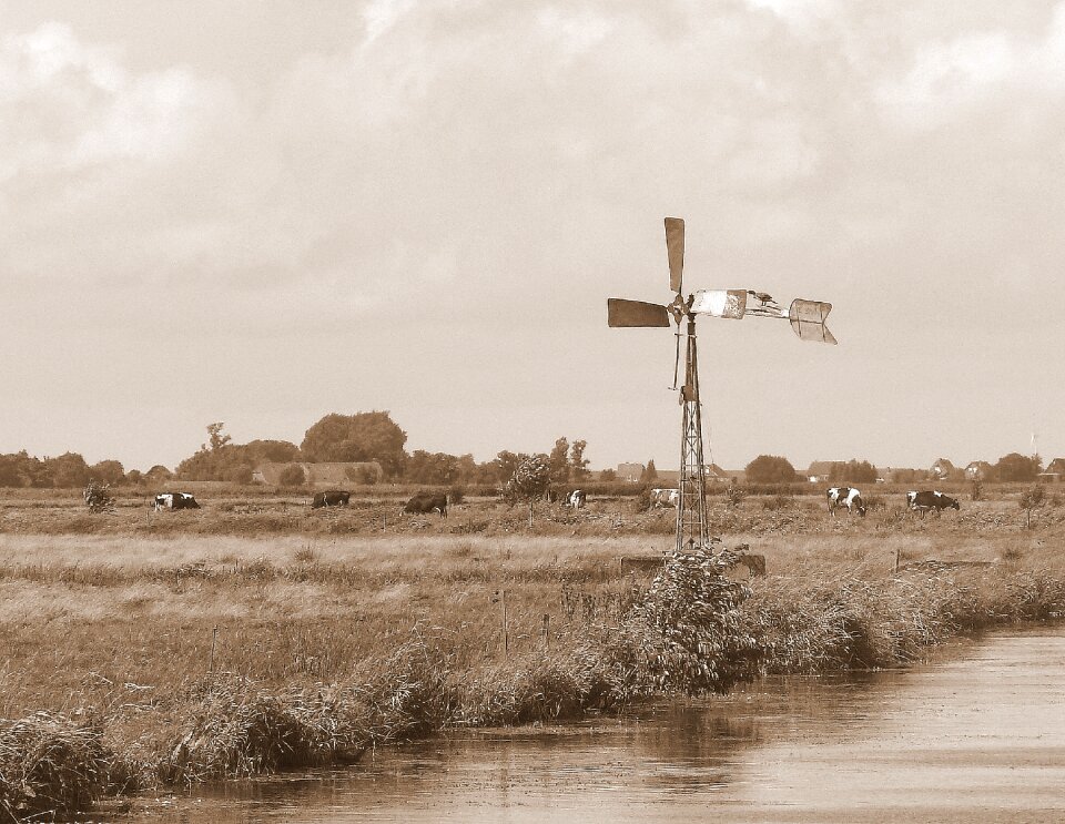 Architecture river sepia