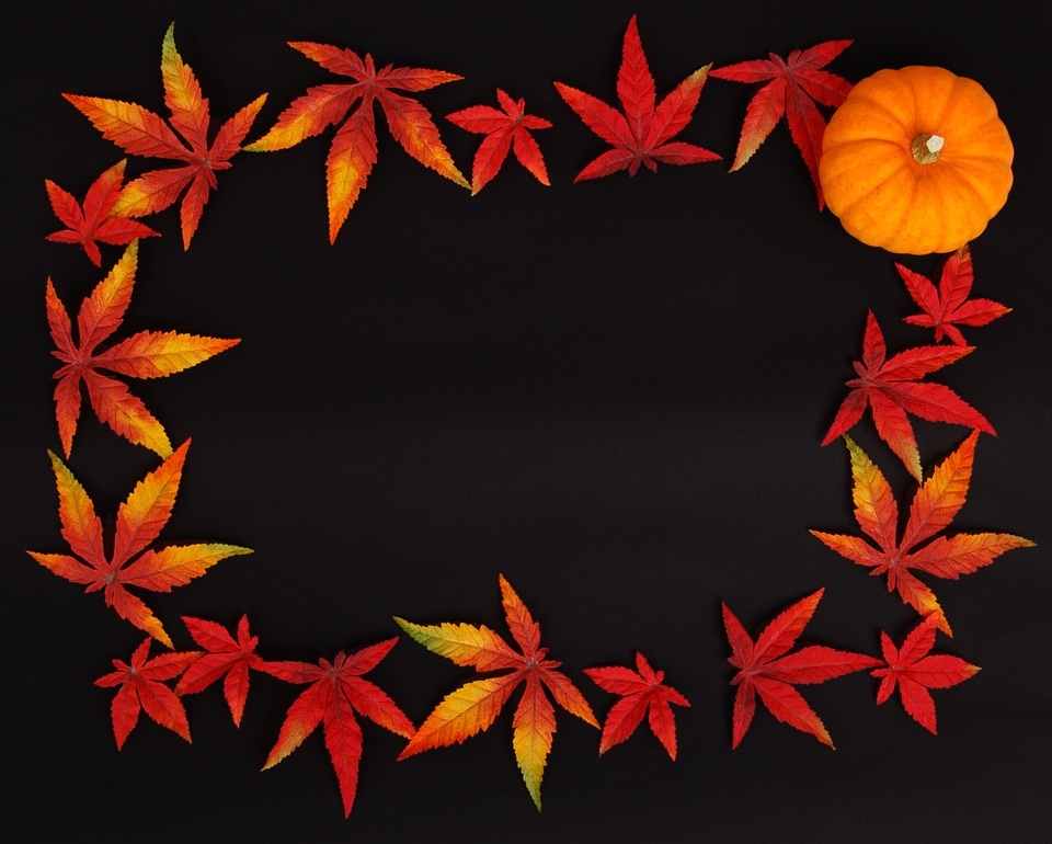 Frame color decoration