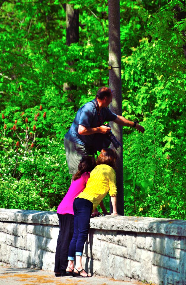 Photographer people green camera