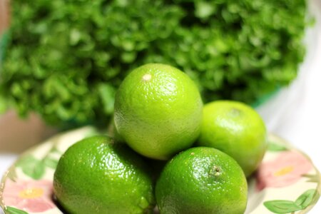 Organic refreshing food