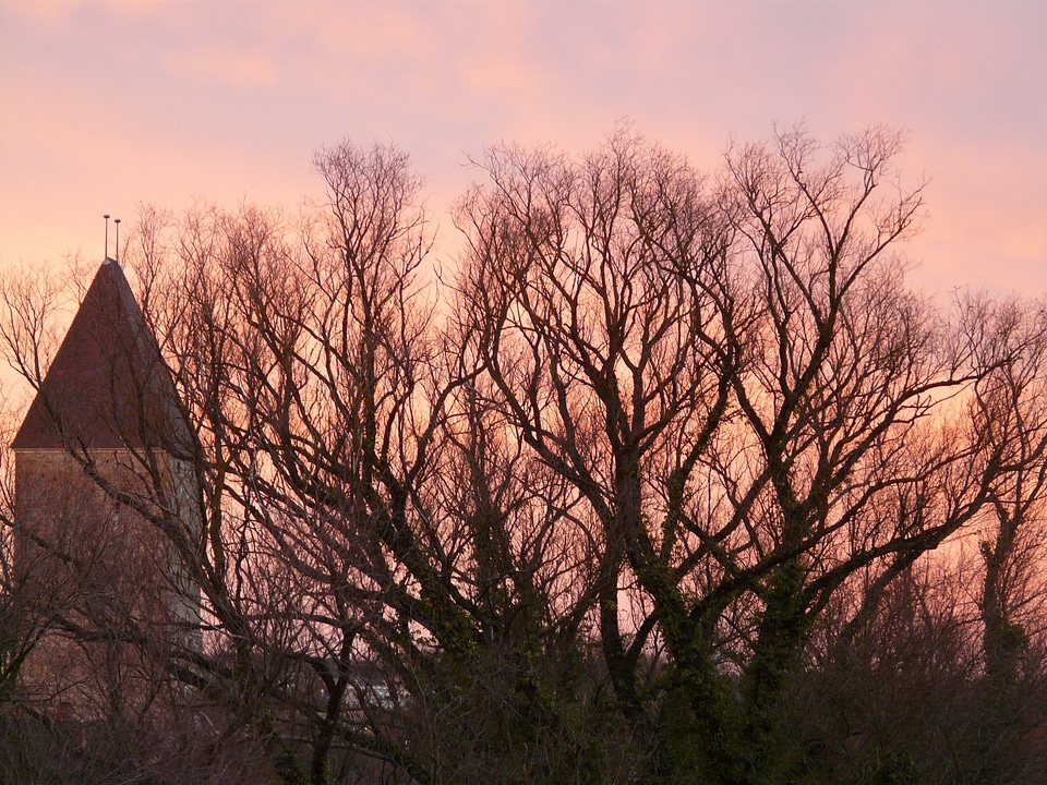 Aesthetic nature landscape