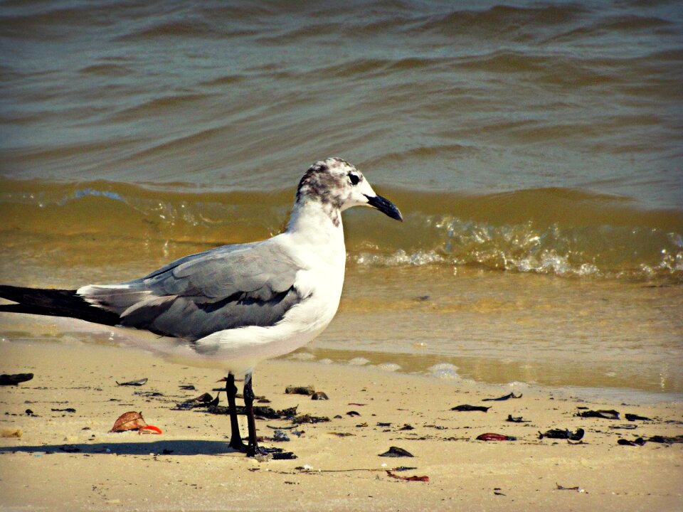 Beach water sand