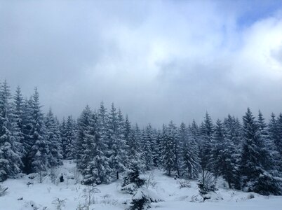 Wonderland beautiful nature