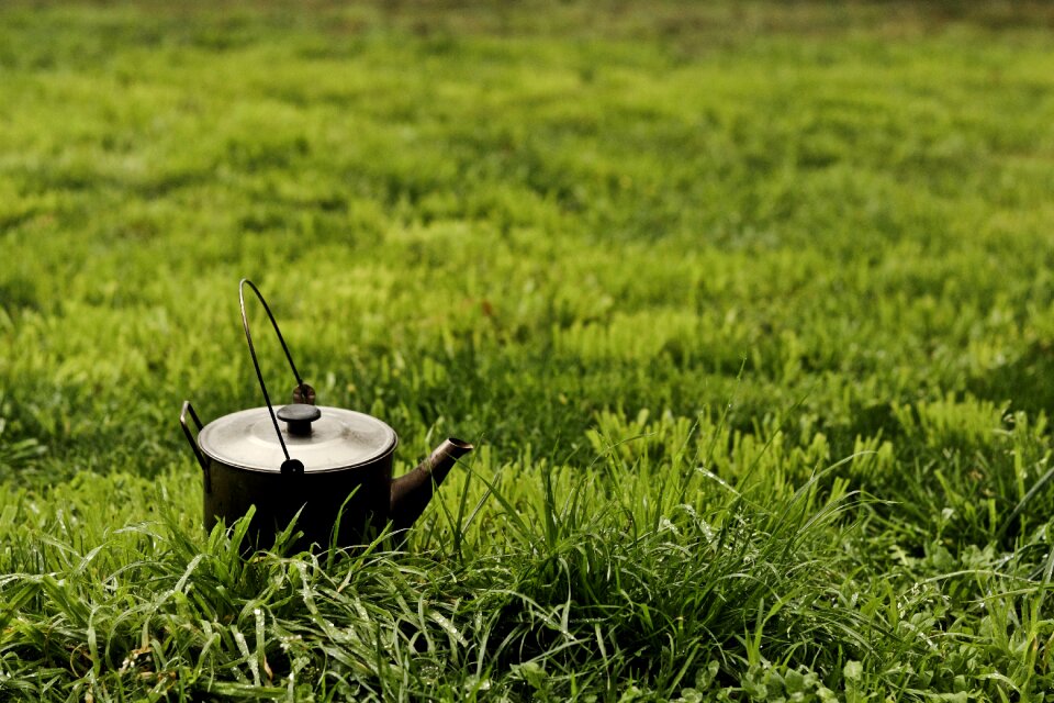 Green metal old