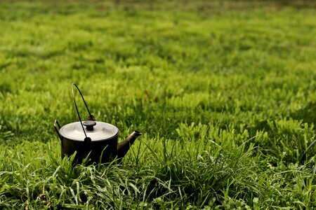 Green metal old