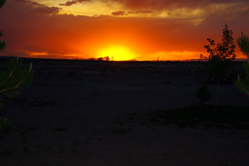 Landscape golden glow