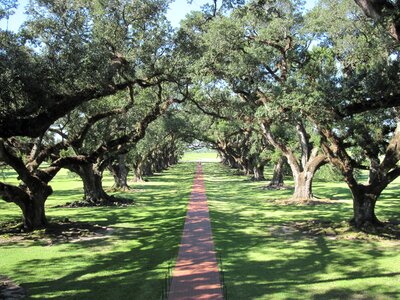 Path green path