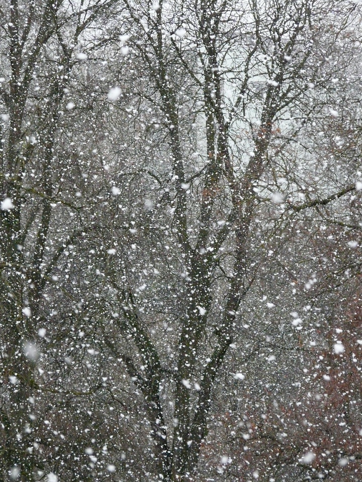 Blizzard winter flake