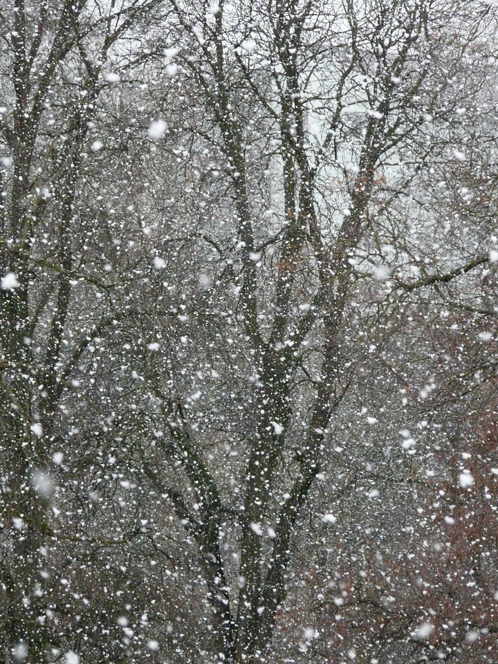 Blizzard winter flake photo