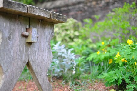 Garden outdoors