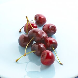 Food fruit