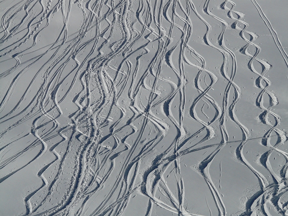 Trace curves powder snow