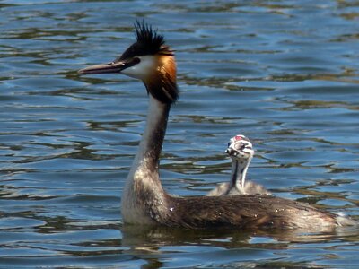 Mother child nature