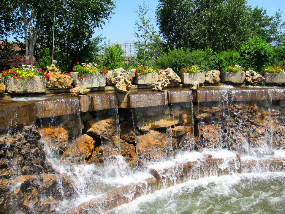 Water garden nature