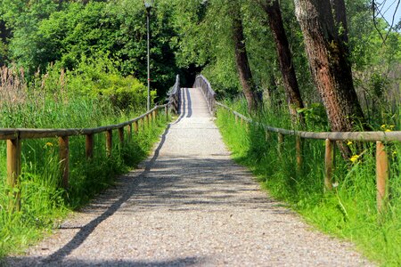 Transition wood wooden bridge photo