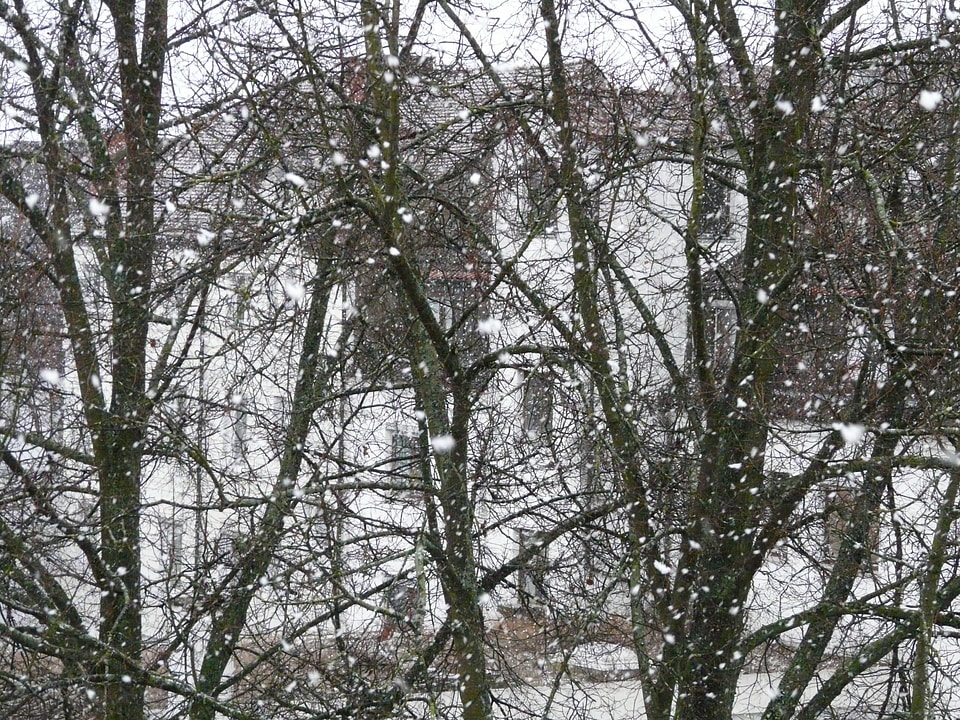 Blizzard winter flake