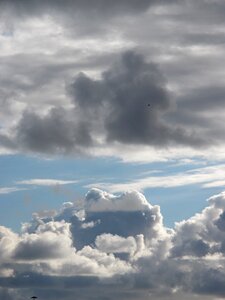 White grey landscape