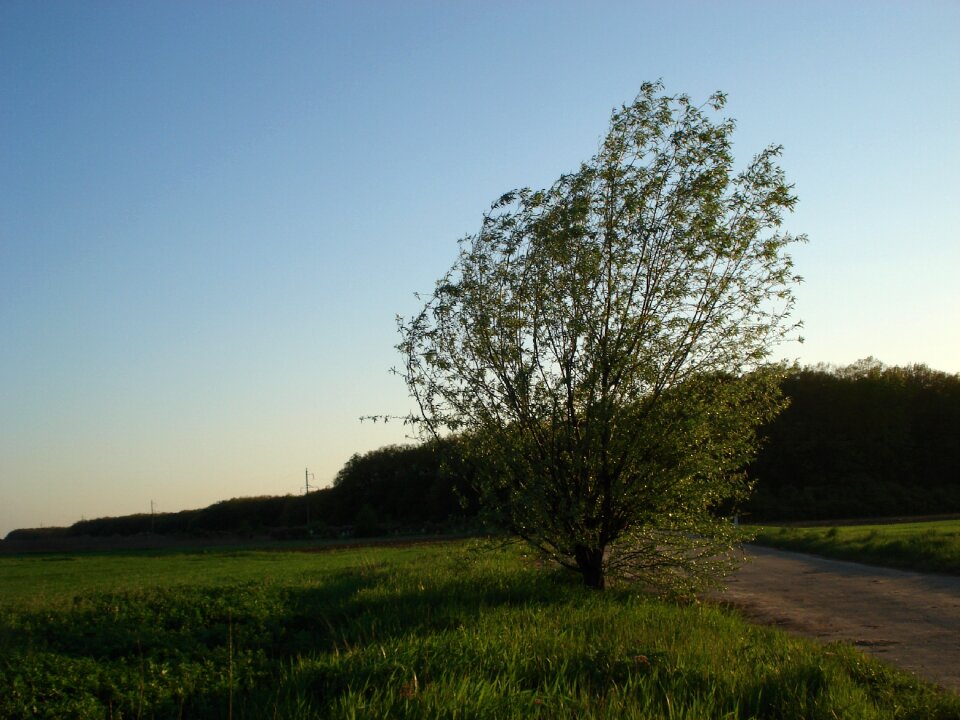Evening evening landscape romantic