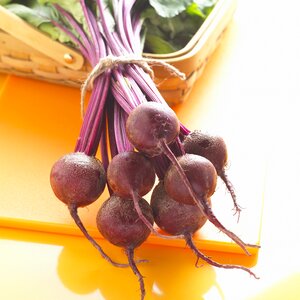 Vegetable beet beetroot