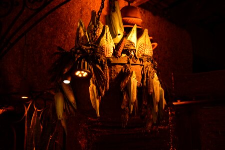 Indoor rural