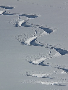 Trace curves powder snow