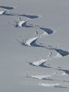 Trace curves powder snow photo