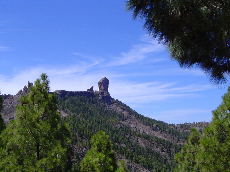 Roque pine gran canaria